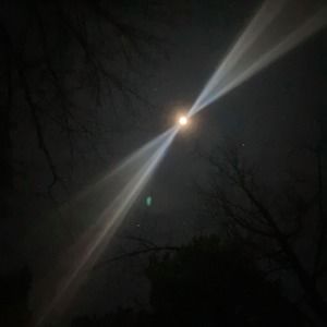 Meet your Posher, Dara